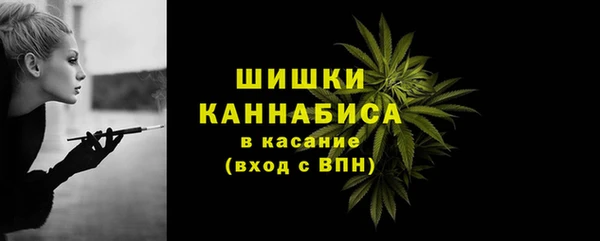 сатива Богданович