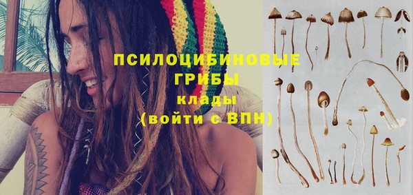 хмурый Богородск