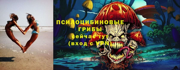 сатива Богданович