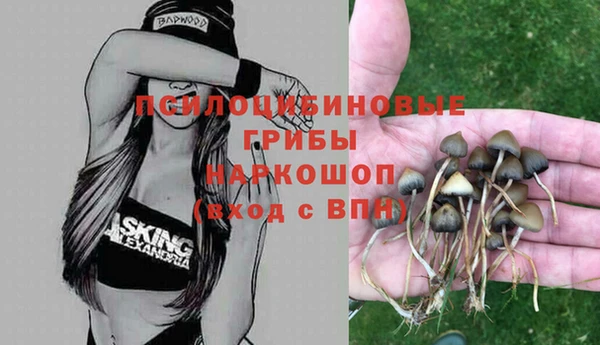 бошки Покровск