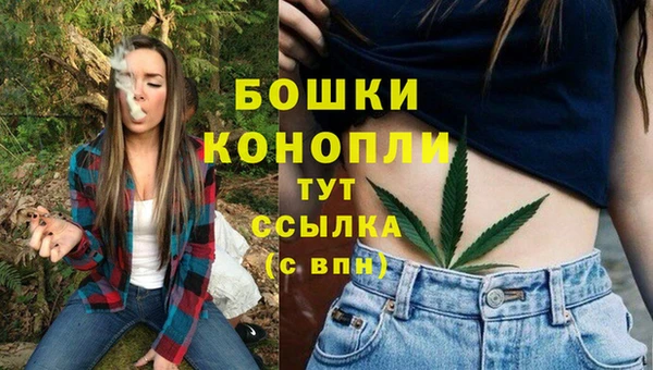 соль ск Богородицк